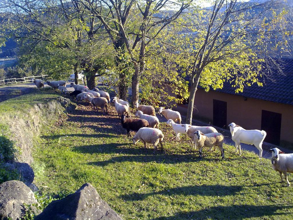 Casa De Colonies La Cadamont Vandrehjem Sant Joan les Fonts Eksteriør billede